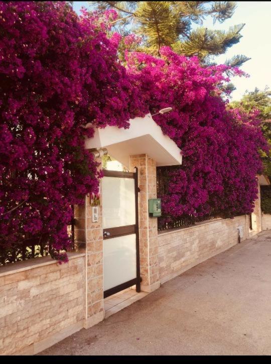 Tulipano Rosso Apartment Bari Ngoại thất bức ảnh