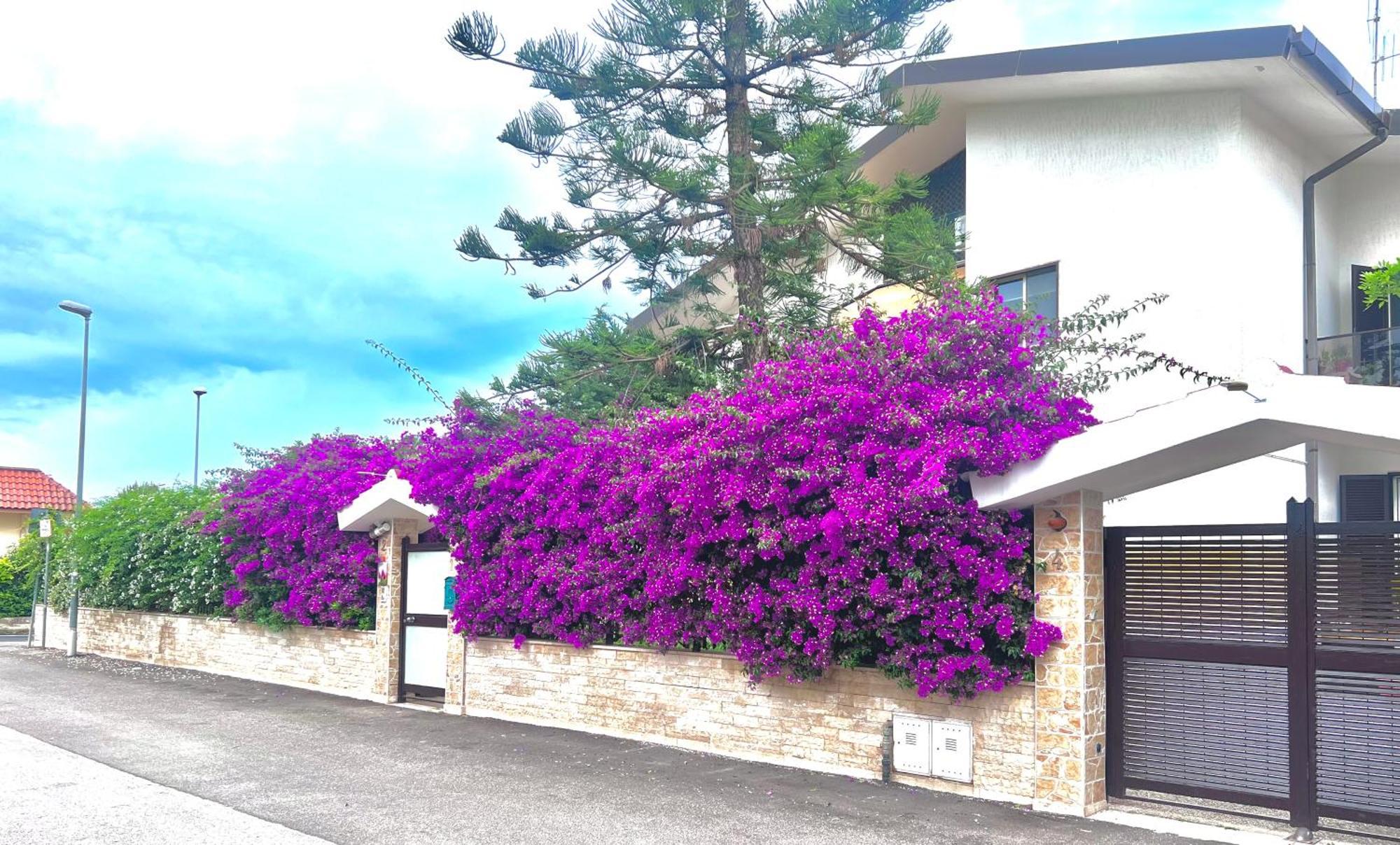 Tulipano Rosso Apartment Bari Ngoại thất bức ảnh